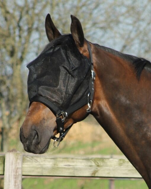 Halter-Fly Mask Combi - Bild 2