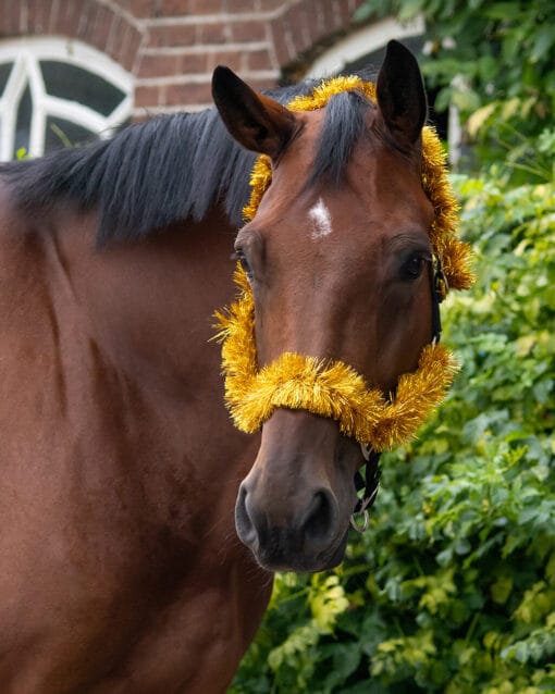 Head Collar Christmas Garland - Bild 2