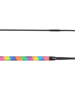 Dressage whip Ombre
