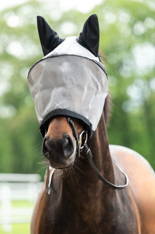 Anti-Fly  Mask With Nose Protection