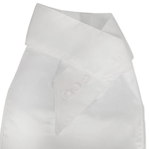 Competition Plastron With Embroidered Logo - Bild 2