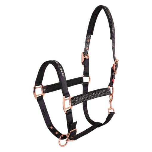 Headcollar Irhbelle Star