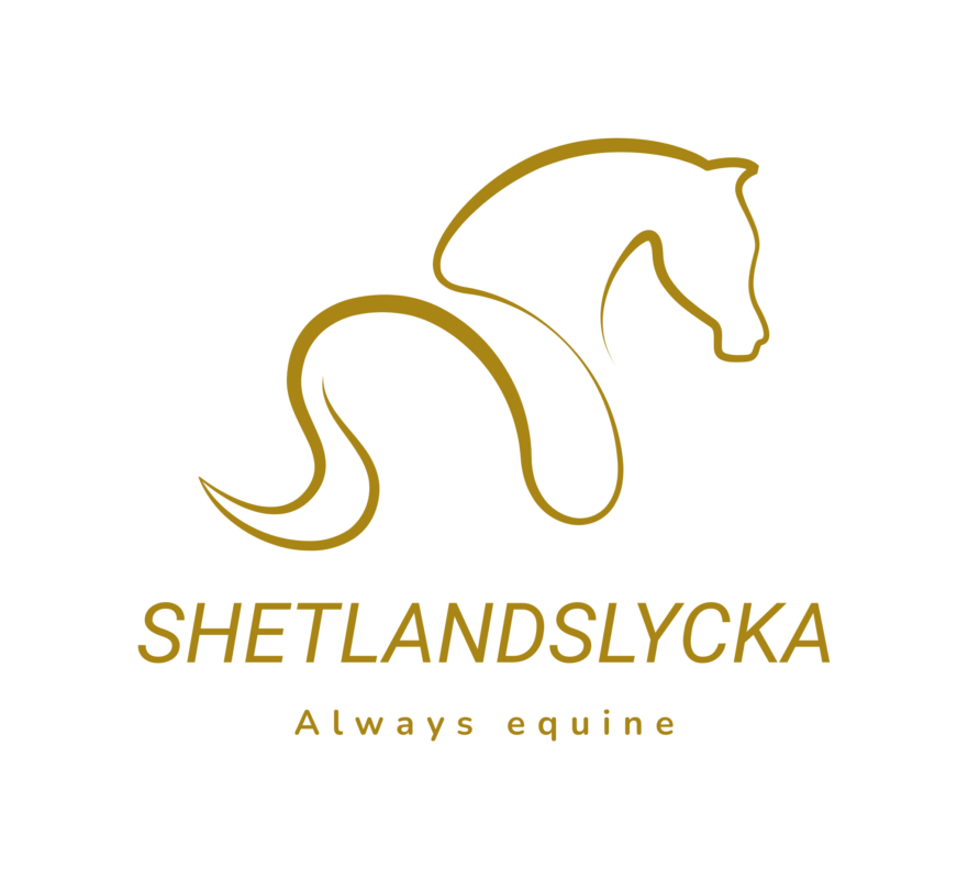 Shetlandslycka