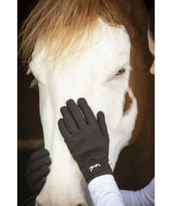 Penelope  "Hiver" Gloves