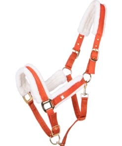 Head collar Menton