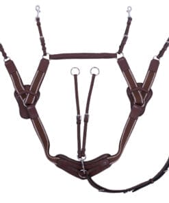Breastplate Sedna